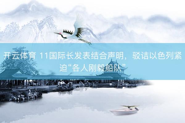 开云体育 11国际长发表结合声明，驳诘以色列紧迫“各人刚毅船队”