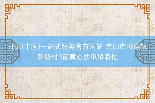 开云(中国)一站式服务官方网站 京山市杨集镇新场村3亩黄心西瓜移栽忙
