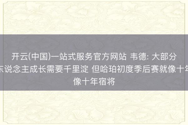 开云(中国)一站式服务官方网站 韦德: 大部分年青东说念主成长需要千里淀 但哈珀初度季后赛就像十年宿将