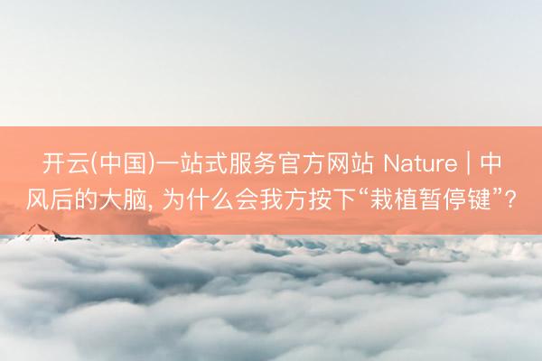开云(中国)一站式服务官方网站 Nature | 中风后的大脑， 为什么会我方按下“栽植暂停键”?