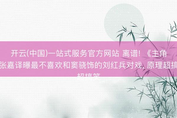 开云(中国)一站式服务官方网站 离谱! 《主角》张嘉译曝最不喜欢和窦骁饰的刘红兵对戏， 原理超搞笑