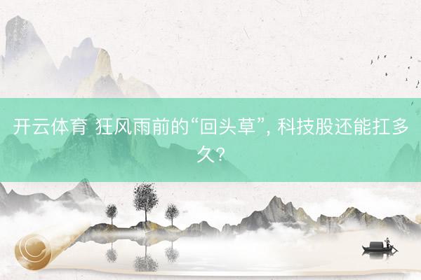 开云体育 狂风雨前的“回头草”， 科技股还能扛多久?