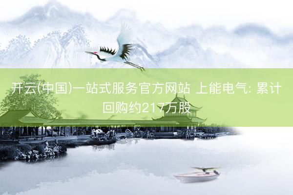 开云(中国)一站式服务官方网站 上能电气: 累计回购约217万股