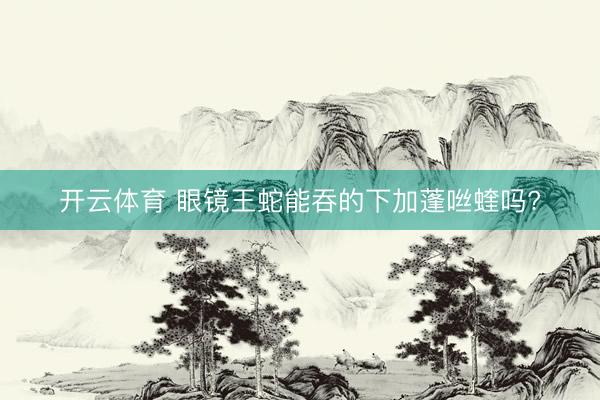 开云体育 眼镜王蛇能吞的下加蓬咝蝰吗?
