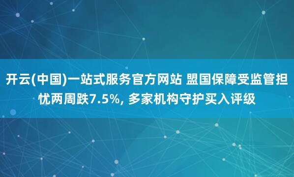 开云(中国)一站式服务官方网站 盟国保障受监管担忧两周跌7.5%， 多家机构守护买入评级