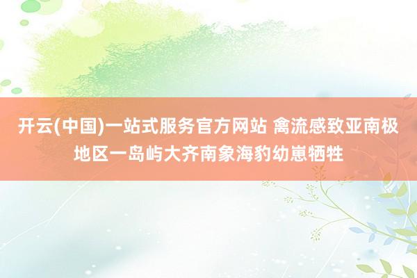 开云(中国)一站式服务官方网站 禽流感致亚南极地区一岛屿大齐南象海豹幼崽牺牲